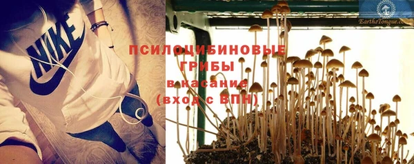 MESCALINE Аркадак